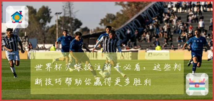 世界杯买球投注新手必看，这些判断技巧帮助你赢得更多胜利