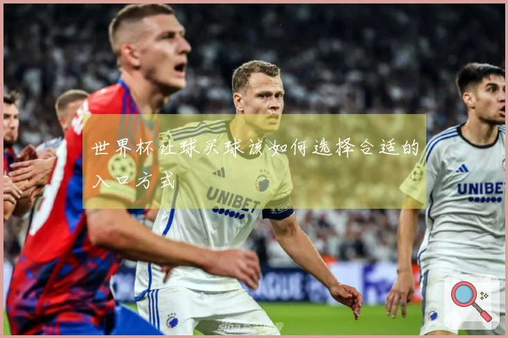 世界杯让球买球该如何选择合适的入口方式