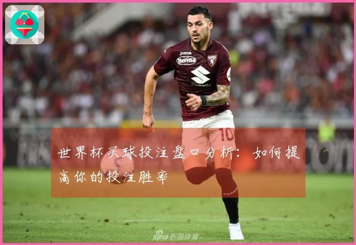 世界杯买球投注盘口分析：如何提高你的投注胜率