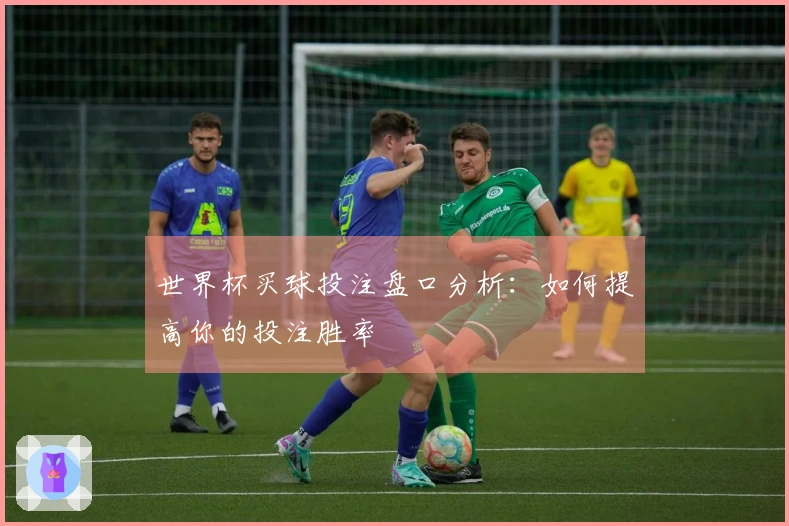 世界杯买球投注盘口分析：如何提高你的投注胜率
