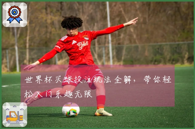 世界杯买球投注玩法全解，带你轻松入门乐趣无限